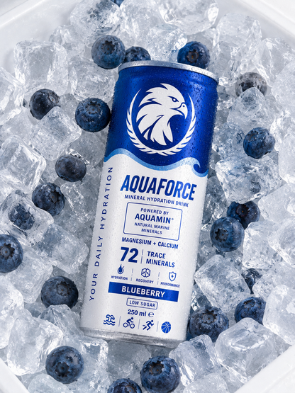 AQUAFORCE BLUEBERRY 12ks