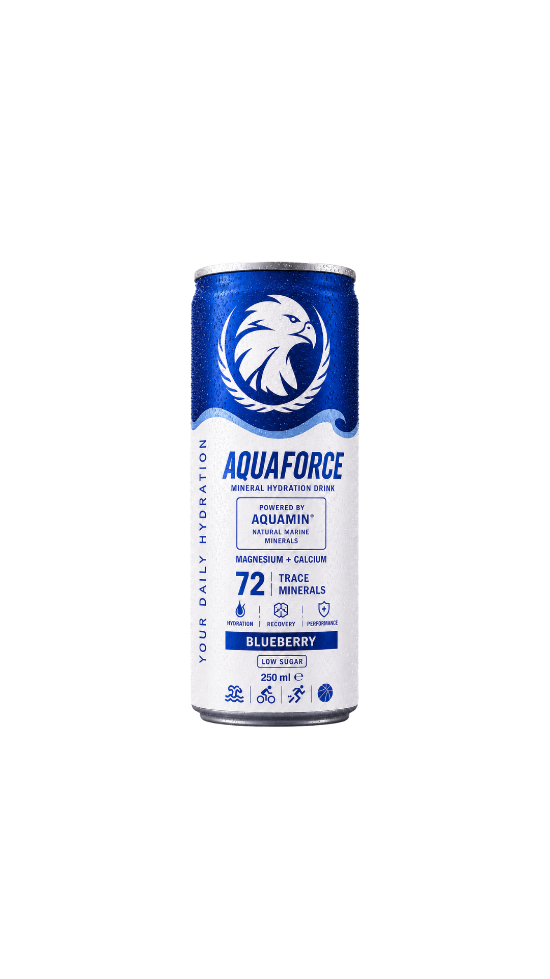 AQUAFORCE BLUEBERRY 12ks