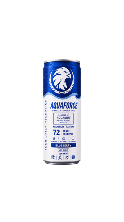 AQUAFORCE BLUEBERRY 12ks